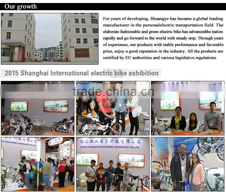 brushless motor controller box for electric bike