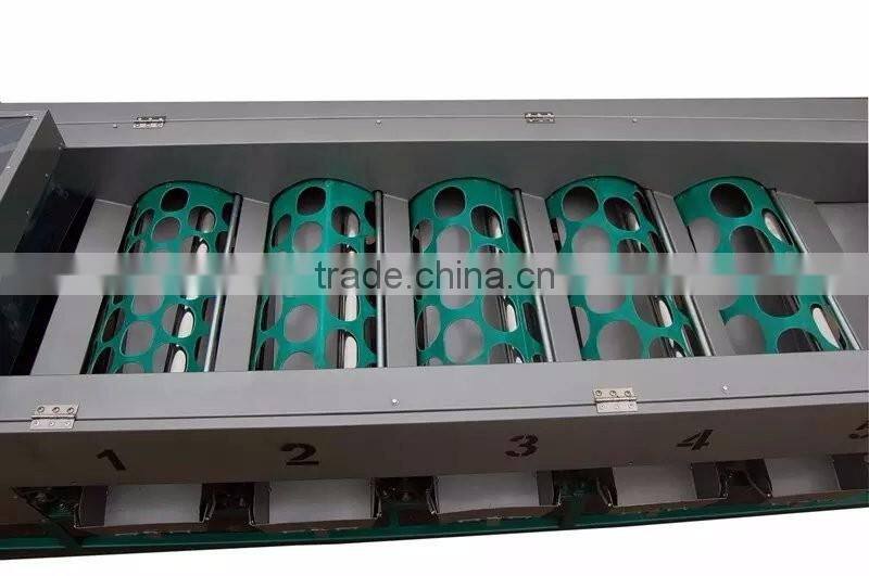 persian limes Sorter machine