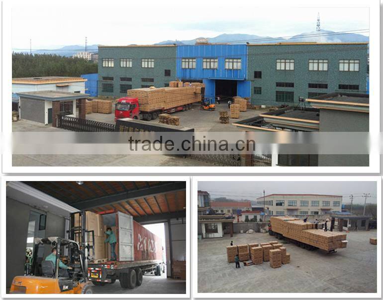 Courage BD-158 Top Open Door Chest Freezer with Key