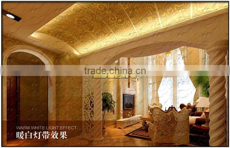 SMD 5050 14.4w/m 24v led rope light