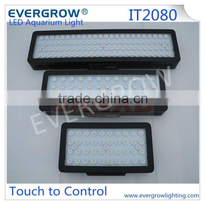 sunset/sunrise led planted aquarium lighting