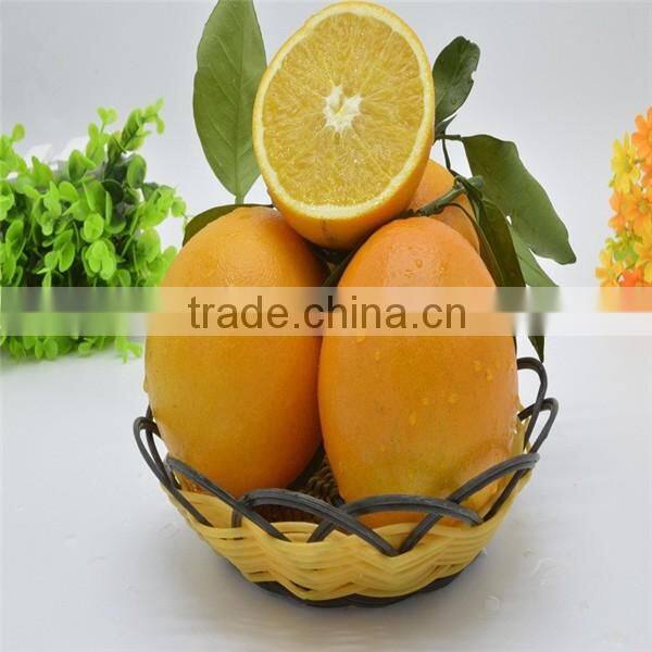 Factory Supply blood orange