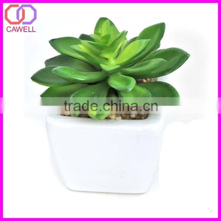 artificial cactus plant cactus succulent