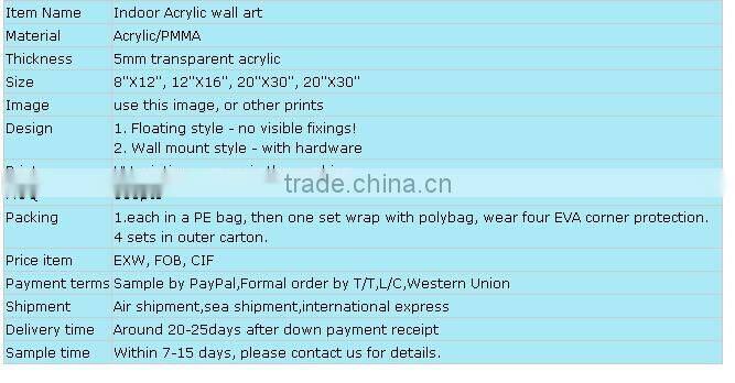 Exquisite & high quality custom decorative acrylic wall panels for home