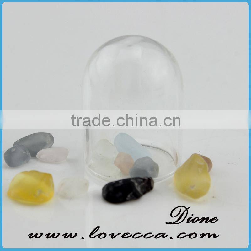 New christmas product wholesale fashion plant glass domes wholesae