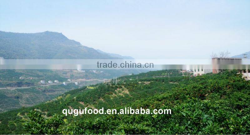 2014 New crop orange jam manufacturer wholesale