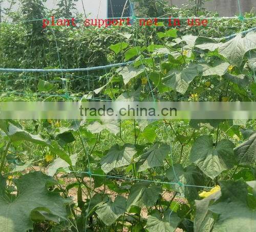 plant support net (iso 9001-2008)