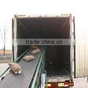 dandong city chestnuts jinhua species