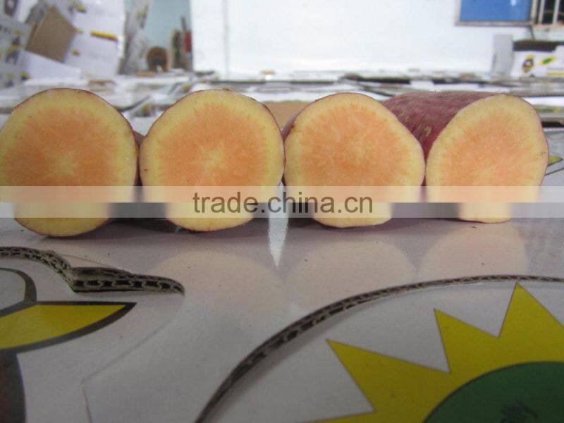 Fresh Sweet Potatoes best price