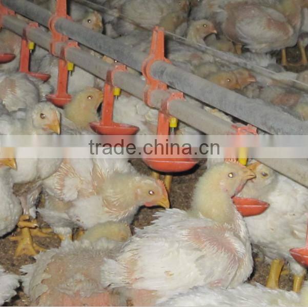 Automatic poultry drink system for chicken