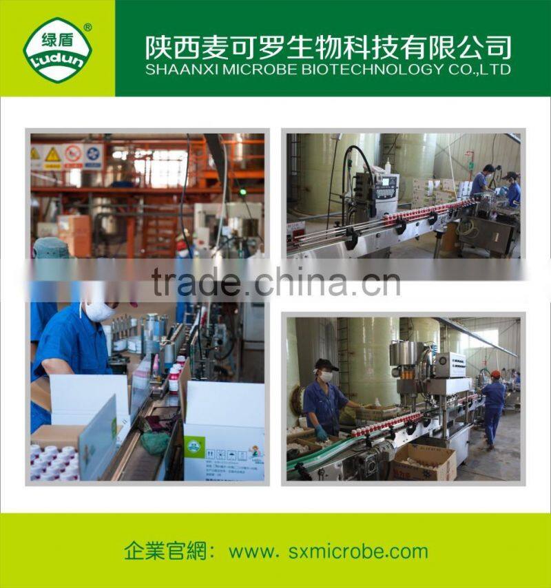 Hot pesticide/fungicide kasugamycin 4%SL