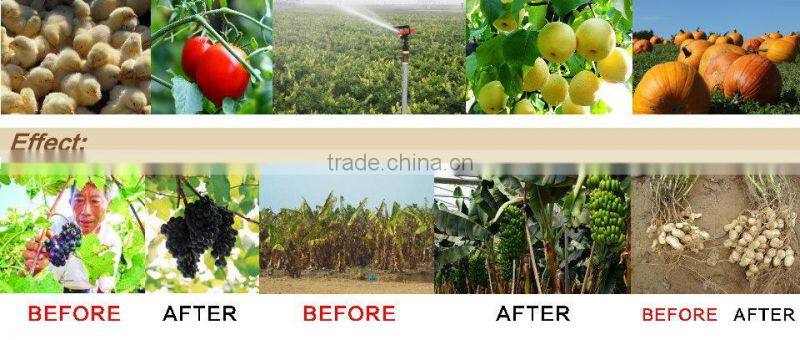 2016 Hot Sale High Quality Plant Source Organic Fertilizer Powder 80% Amino Acid