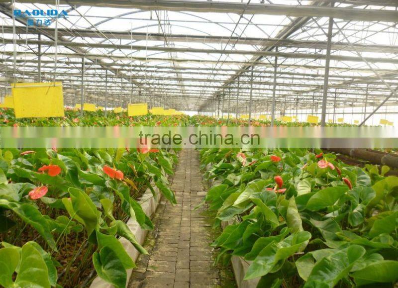 BaoLiDa Agriculture used Greenhouse