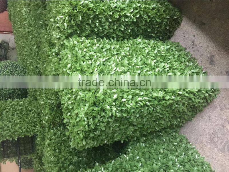 High Quality Plastic Artificial Boxwood hedge Green Wall