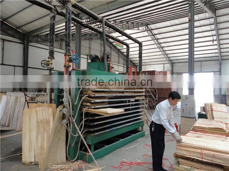 face veneer drier/veneer drying machine/plywood drying machine