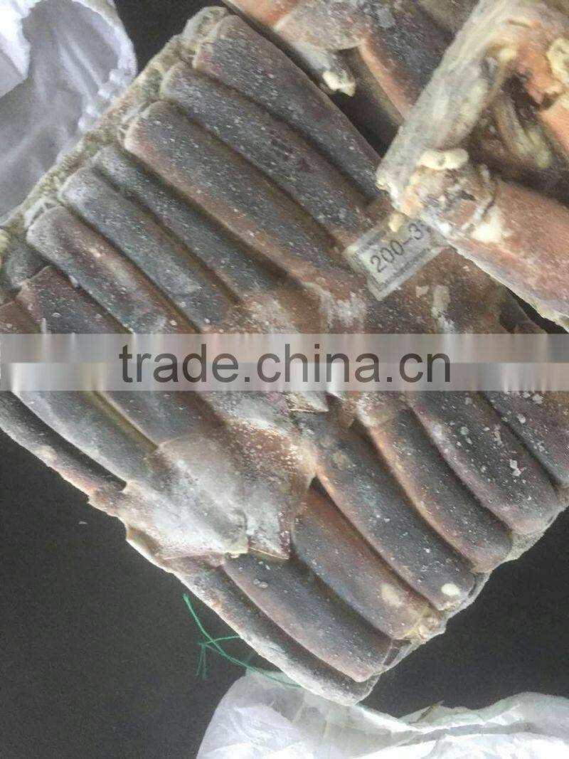 200-300G Frozen Argentina Squid For Thailand