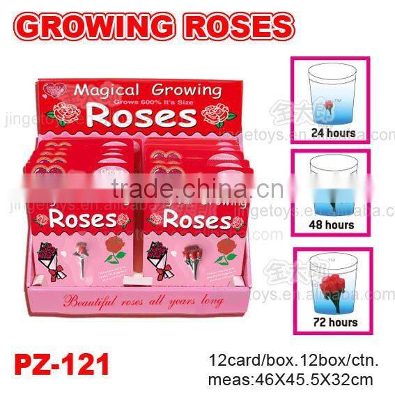 Growing Roses , Fruits and Vegetable