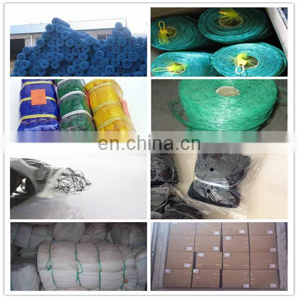 HDPE anti bird net which exported to Australia, USA, Korea