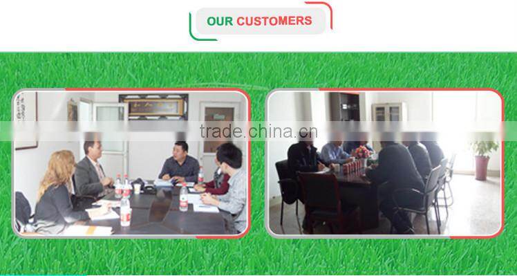 Lifepo4 Battery Charger for E-Boat