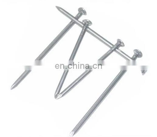 Common nail in galvanized finishing