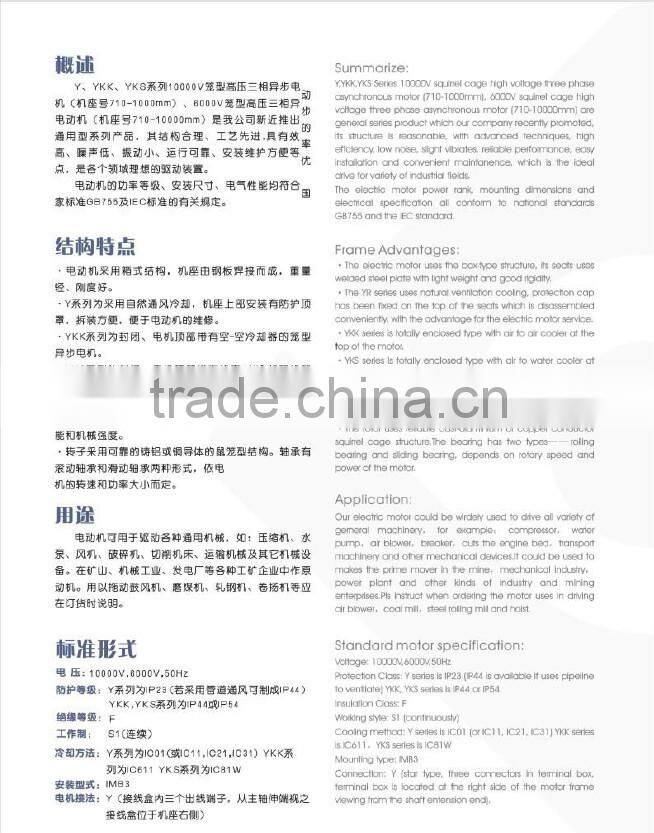 DC Motor Y Series 6KV Squirrel Cage High Voltage three phase asynchronous motor (355-630)mm)