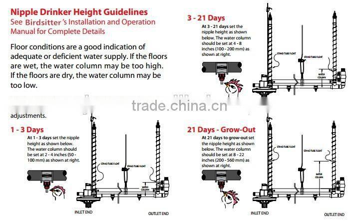 hot sale good cheap automatic layers nipple drinker