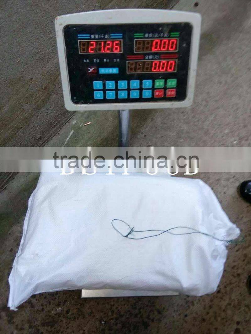 frozen peru giant squid