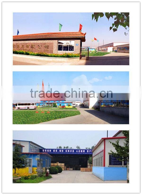 pre-cut nail arts wrap foil sheet for UV gel polish remover with cotton pad