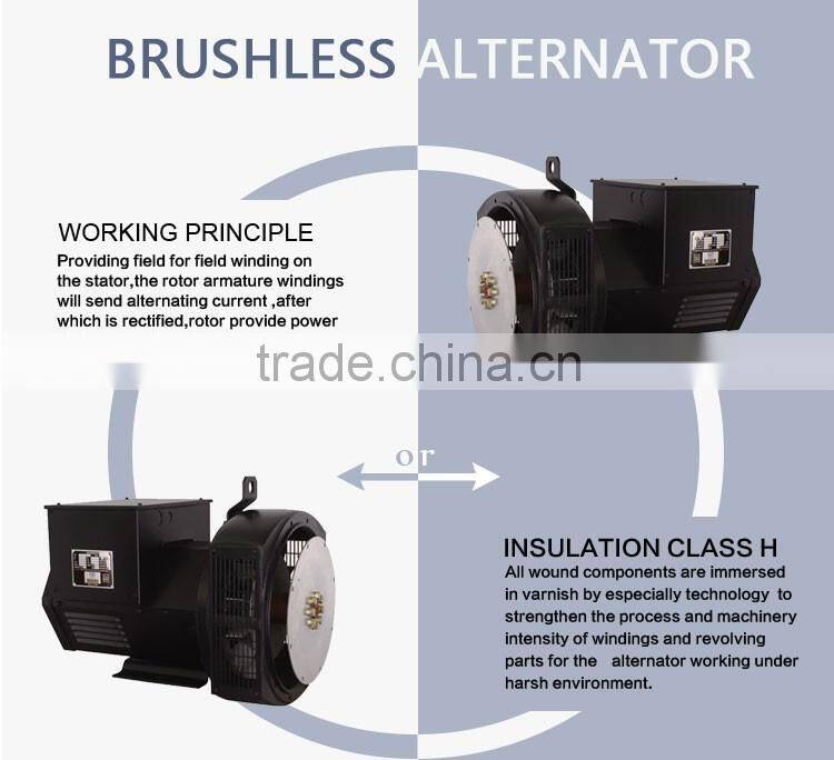 Cheap Three Phase 240V Low Speed 40kw Alternator