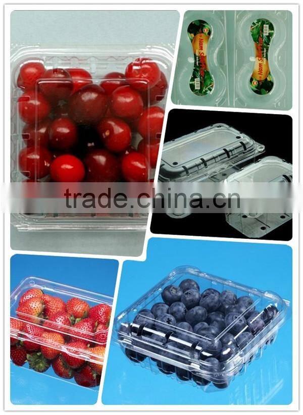 2015 best selling plastic clear strawberry packaging box