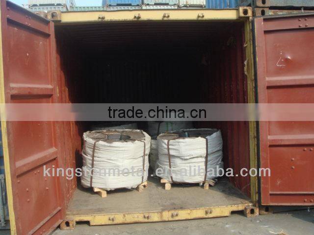 Competitive price St37-2g galvanized steel strips in Coils