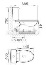 Made In China Cheap Washdown Girl Toilet Chinese Ceramic Wc