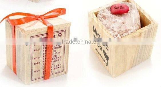 mini green plants magic bean with words in promotions