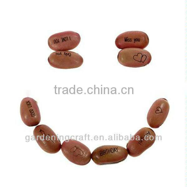 import china products bonsai tree magic growing message beans