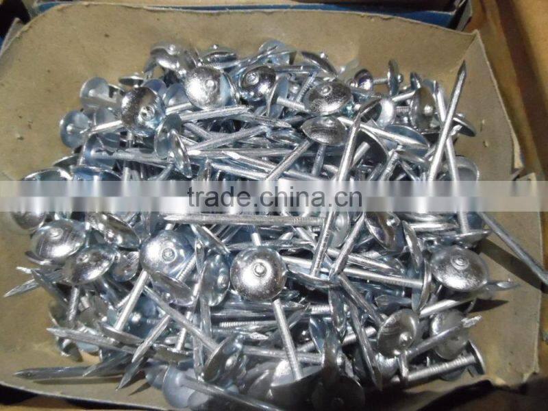 ROOFING NAILS