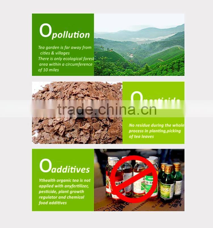 Quality guaranteed fresh Green Tea leaves organic/green tea bags bulk