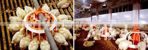 BROILER SHED BUILDING