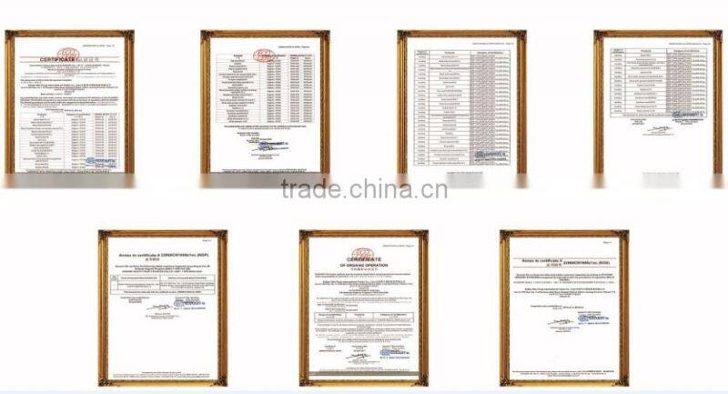 New crop light red speckled kidne y beans long shape bamboo bean for europe