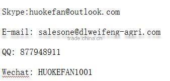 2016 new crop Pumpkin seed grow without shell GWS low price