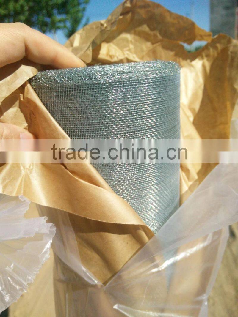 Galvanized iron window screen/green iron window screen for insect