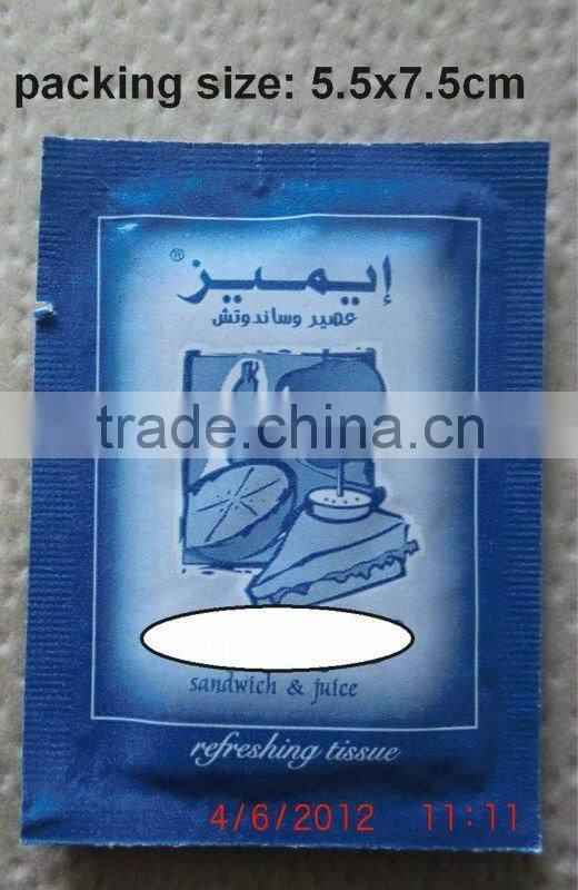 eyeglass cleaning wipe-individually wrapped lens,sunglasses cleaner