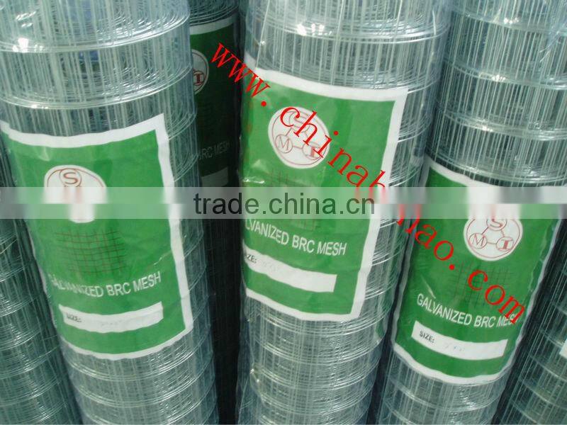 Welded wire mesh ( Electro or hot dipped galvanized )