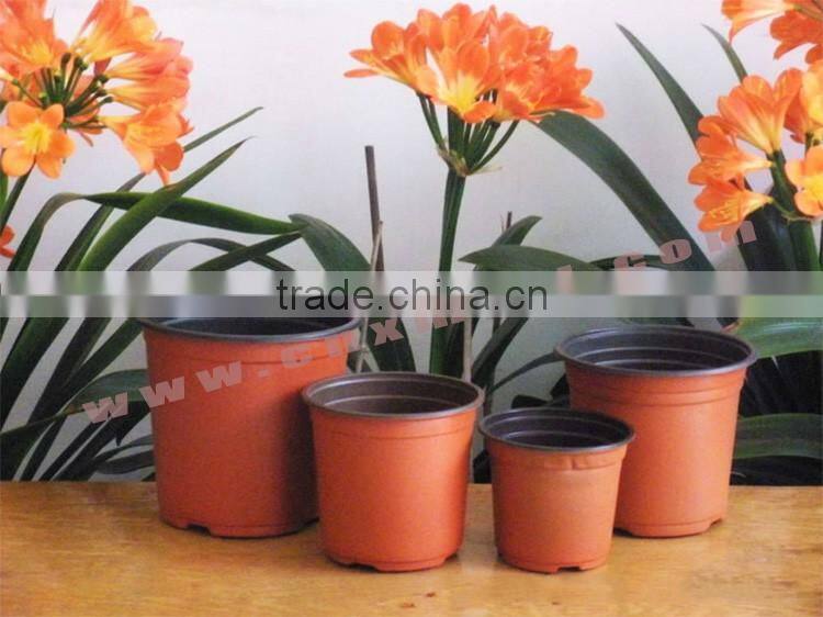 plastic greehouse soft flower pot