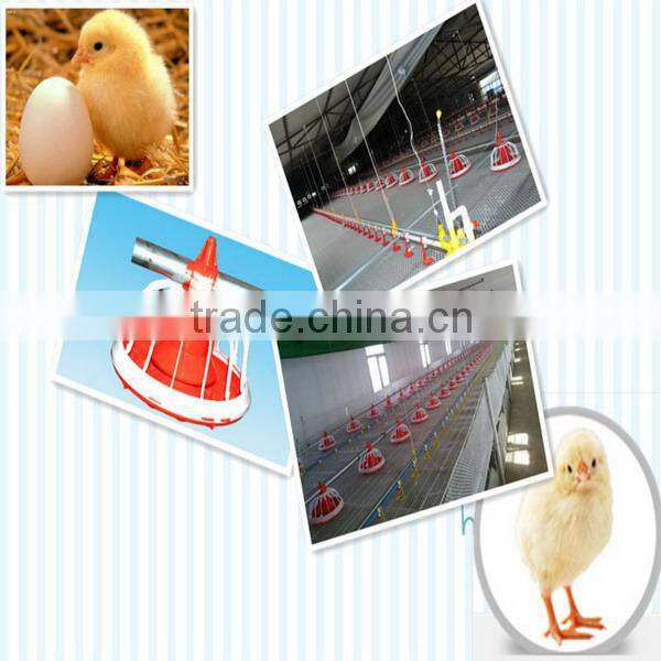 designed high quality silos for poultry