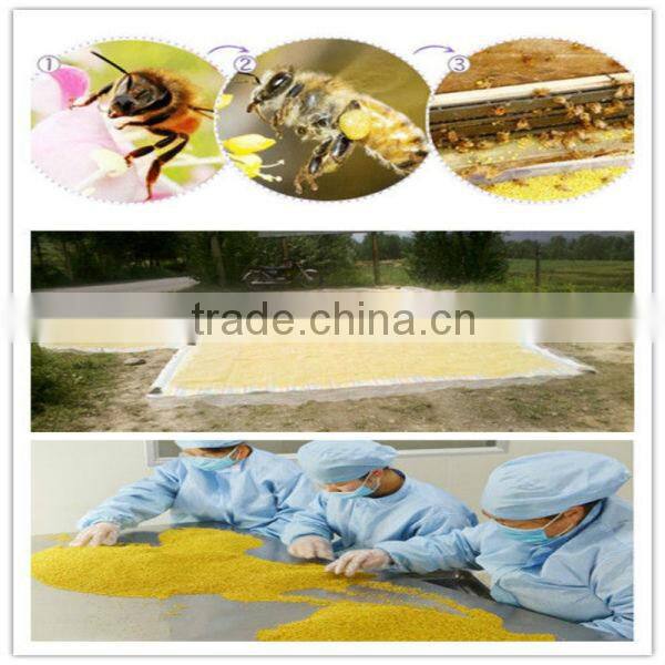 beekeeping factory wholesale new fresh natural rape bee pollen