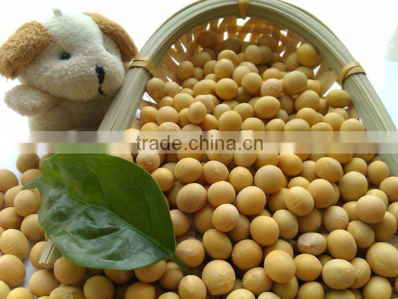 Chinese Non-Gmo Soya bean( New crop, heilongjiang origin)