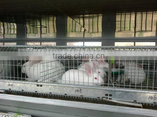 automatic rabbit equipment