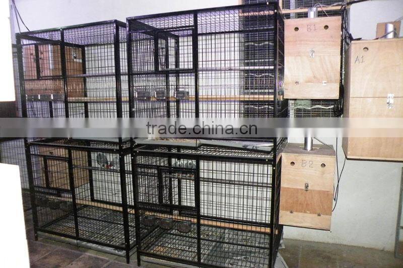 large stainless steel parrot cage for sale