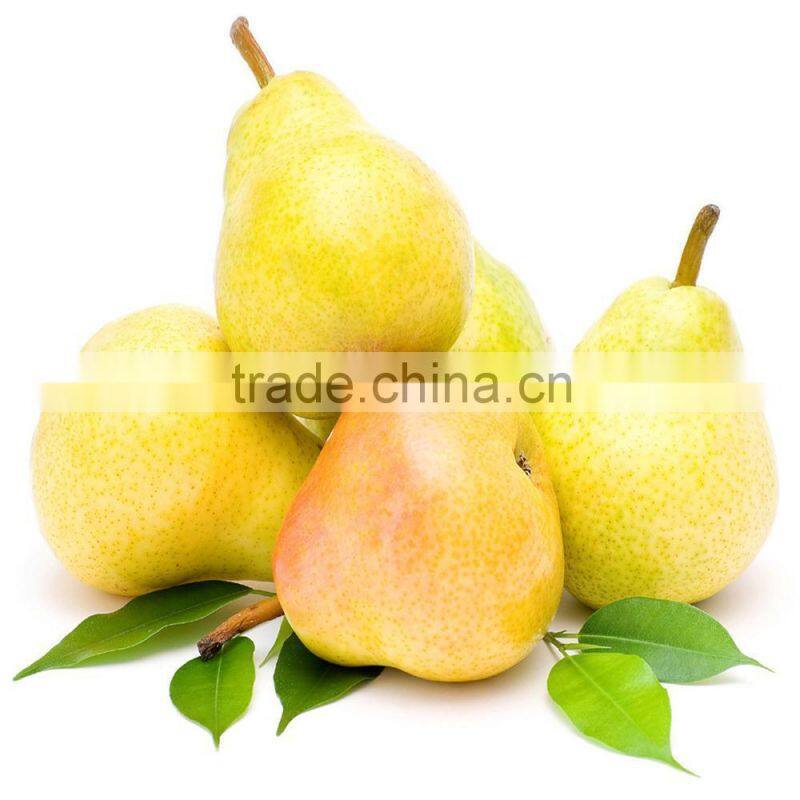 canned fruit Canned Pear in Syrup