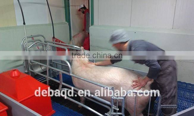 Mother pig stall low price pig birthing stall
